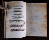 1879 Scientific Lectures by Sir John Lubbock