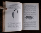 1879 Scientific Lectures by Sir John Lubbock