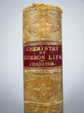 1880 Chemistry Of Common Life by James F. W. Johnston (New Edition). - Harrington Antiques