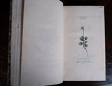 1816 The Class And Orders Of The Linnaean System Of Botany. First Edition. - Harrington Antiques