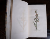 1816 The Class And Orders Of The Linnaean System Of Botany. First Edition. - Harrington Antiques