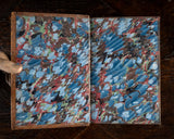 1879 Rambles In Search Of Wild Flowers by Margaret Plues - Harrington Antiques
