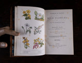 1879 Rambles In Search Of Wild Flowers by Margaret Plues - Harrington Antiques