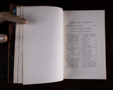 1879 Rambles In Search Of Wild Flowers by Margaret Plues - Harrington Antiques