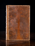 1879 Rambles In Search Of Wild Flowers by Margaret Plues - Harrington Antiques