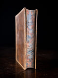 1879 Rambles In Search Of Wild Flowers by Margaret Plues - Harrington Antiques