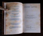 1879 Scientific Lectures by Sir John Lubbock - Harrington Antiques