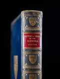 1885 English Battles & Sieges In The Peninsula by Sir William Napier. - Harrington Antiques