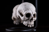 18th Century Carved Skulls Of The Damned - Harrington Antiques