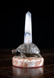 19th Century Bronze and Agate Rotating Tortoise Desk Ornament - Harrington Antiques