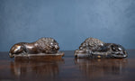 19th Century Bronze Lions After Anthony Canova - Harrington Antiques