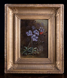 19th Century Still Life Of Butterfly & Flowers. Oil On Canvas. - Harrington Antiques