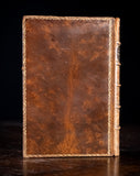 1879 Rambles In Search Of Wild Flowers by Margaret Plues