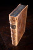 1879 Rambles In Search Of Wild Flowers by Margaret Plues