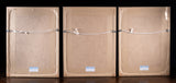 Set Of Three Botanical Specimens, 19th Century