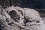 Herbert Dicksee (1862-1942) - 'Waiting For Master'. Signed Etching.