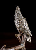 19th Century Bronze Cockatoo On Branch