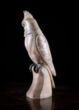 Carved Alabaster Parrot & Cockatoo, c.1920