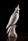Carved Alabaster Parrot & Cockatoo, c.1920