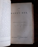 1852 The Flower Garden, The Honey Bee & Music by Thomas James