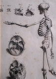 Andrew Bell (1726-1809) - Anatomical Skeleton Engraving, c.1770