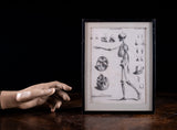 Andrew Bell (1726-1809) - Anatomical Skeleton Engraving, c.1770 - Harrington Antiques