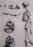 Andrew Bell (1726-1809) - Anatomical Skeleton Engraving, c.1770 - Harrington Antiques