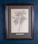 Arthur George Walker RA (1861 - 1939) - Tree Sketch. - Harrington Antiques