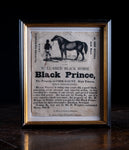 'Black Prince' Horse Advertisement, Dated 1839. - Harrington Antiques