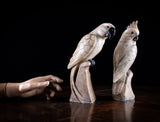 Carved Alabaster Parrot & Cockatoo, c.1920 - Harrington Antiques