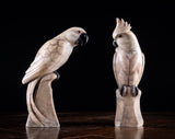 Carved Alabaster Parrot & Cockatoo, c.1920 - Harrington Antiques