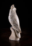 Carved Alabaster Parrot & Cockatoo, c.1920 - Harrington Antiques