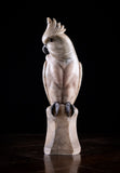 Carved Alabaster Parrot & Cockatoo, c.1920 - Harrington Antiques
