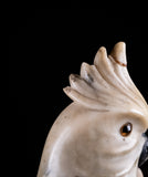 Carved Alabaster Parrot & Cockatoo, c.1920 - Harrington Antiques