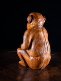Early 20th Century Carved Chinese Monkey - Harrington Antiques