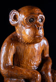 Early 20th Century Carved Chinese Monkey - Harrington Antiques