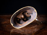 Louis Emile Cana (145 - c.1895) - Bird, Nest and Fledgings. Bronze. - Harrington Antiques