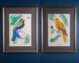 Pair of Naive Pen & Ink Birds of Paradise - Harrington Antiques