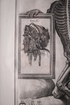 Pietro Berrettini (1596 - 1669) - Engraving Of Plate XIII, Tabulae Anatomicae - Harrington Antiques