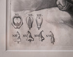 Pietro Berrettini (1596 - 1669) - Engraving Of Plate XIII, Tabulae Anatomicae - Harrington Antiques