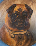 Pug With Bell Collar - Oil on Tin. Naive School. C.1900. - Harrington Antiques