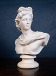19th Century Art Union Of London Parian Bust of Apollo - Harrington Antiques