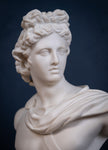 19th Century Art Union Of London Parian Bust of Apollo - Harrington Antiques
