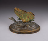 19th Century Cold Painted Bronze Butterfly Letter Clip - Harrington Antiques