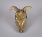 19th Century Folk Art Carved Wooden Ram's Head With Horns. - Harrington Antiques