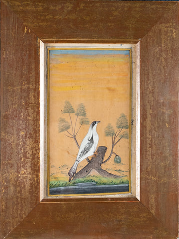 19th Century Mughal School - Bird And Tree. Signed. - Harrington Antiques