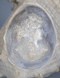19th Century Relief Carved Cameo Conch Shell - Harrington Antiques