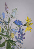 Barbara Watson (fl. 1956) - Still Life of Wild Flowers. Gouache. - Harrington Antiques