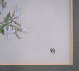 Barbara Watson (fl. 1956) - Still Life of Wild Flowers. Gouache. - Harrington Antiques