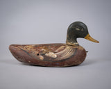 Early 20th Century Carved Painted Decoy Mallard Duck - Harrington Antiques